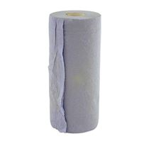 10 Inch Hygiene Roll - 2 Ply Blue - Pack 24 WI2089