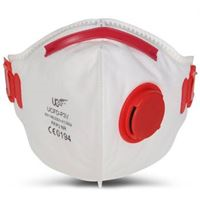 BRIGGS Single Fold Flat FFP3 Mask PP0146