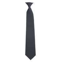 Clip-On Tie SH1319